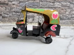 Miniature Bangladeshi baby texi